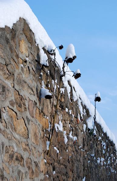 2010-12-02, Neuschnee (29).jpg